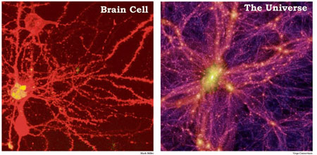 Braincell-Universe