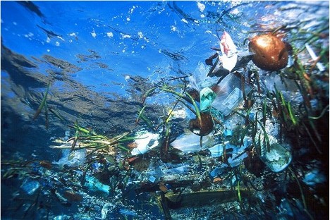 great-pacific-garbage-patch2.jpg